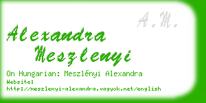 alexandra meszlenyi business card